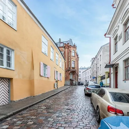 Cozy Nest In The Old Town Daire *